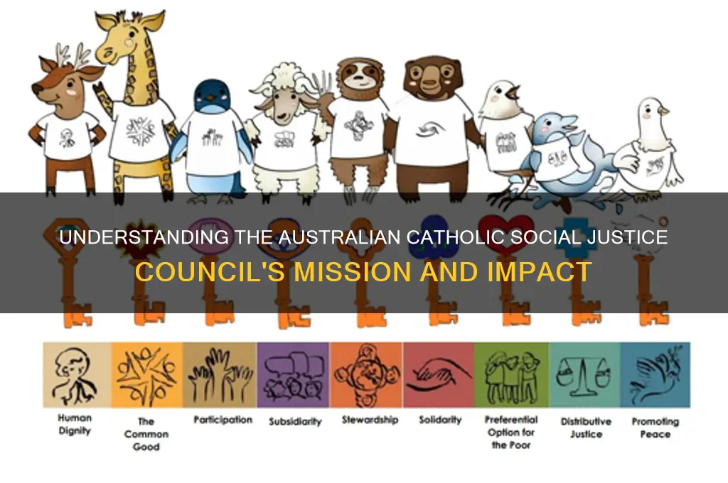 what does australian catholic social justice council do