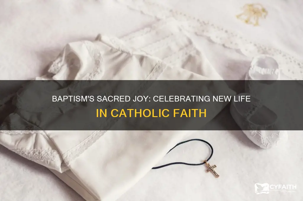 what does baptism celebrate in the catholic religion