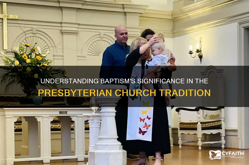 what does baptism mean in the presbyterian church