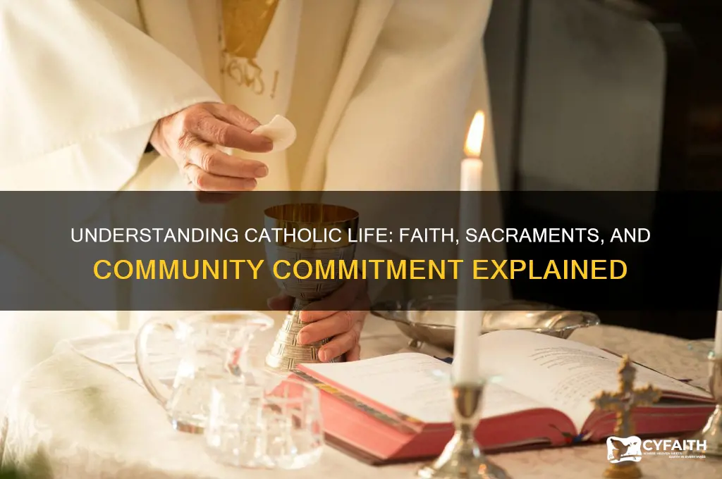 what does being a catholic involve