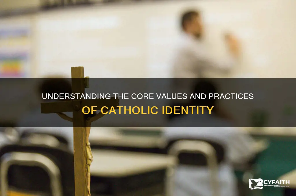 what does being catholic embody