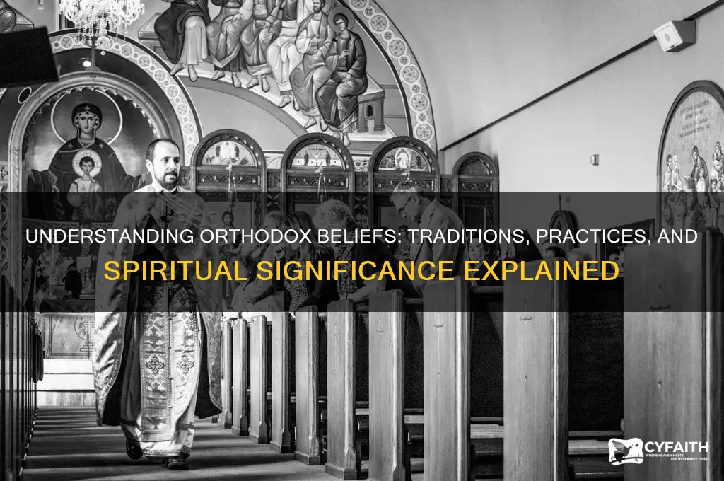 what does being orthodox mean