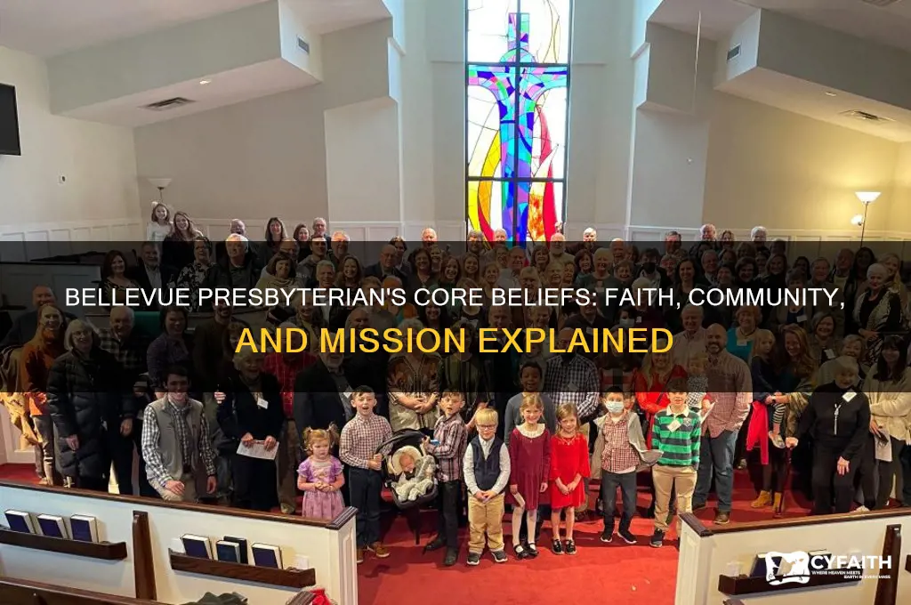what does bellevue presbyterian believe