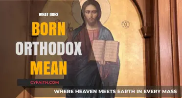 Understanding the Meaning and Significance of Being Born Orthodox