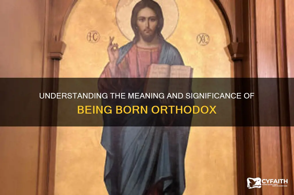 what does born orthodox mean