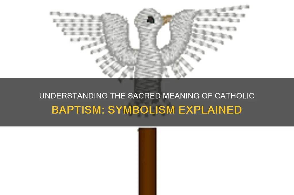 what does catholic baptism symbolize