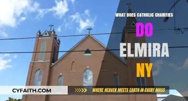 Catholic Charities Elmira NY: Services, Impact, and Community Support Explained