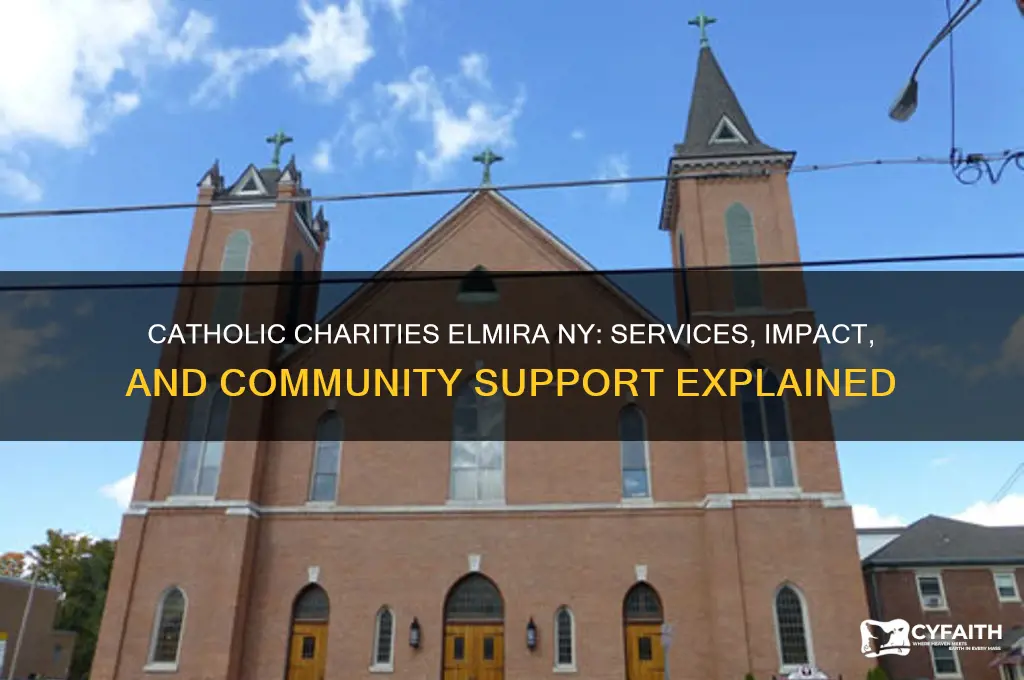 what does catholic charities do elmira ny