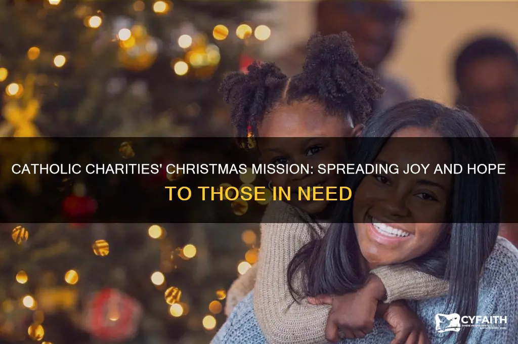 what does catholic charities do for christmas