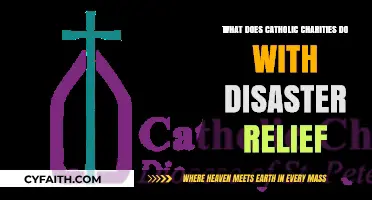 Catholic Charities' Role in Disaster Relief: Aid, Recovery, and Hope