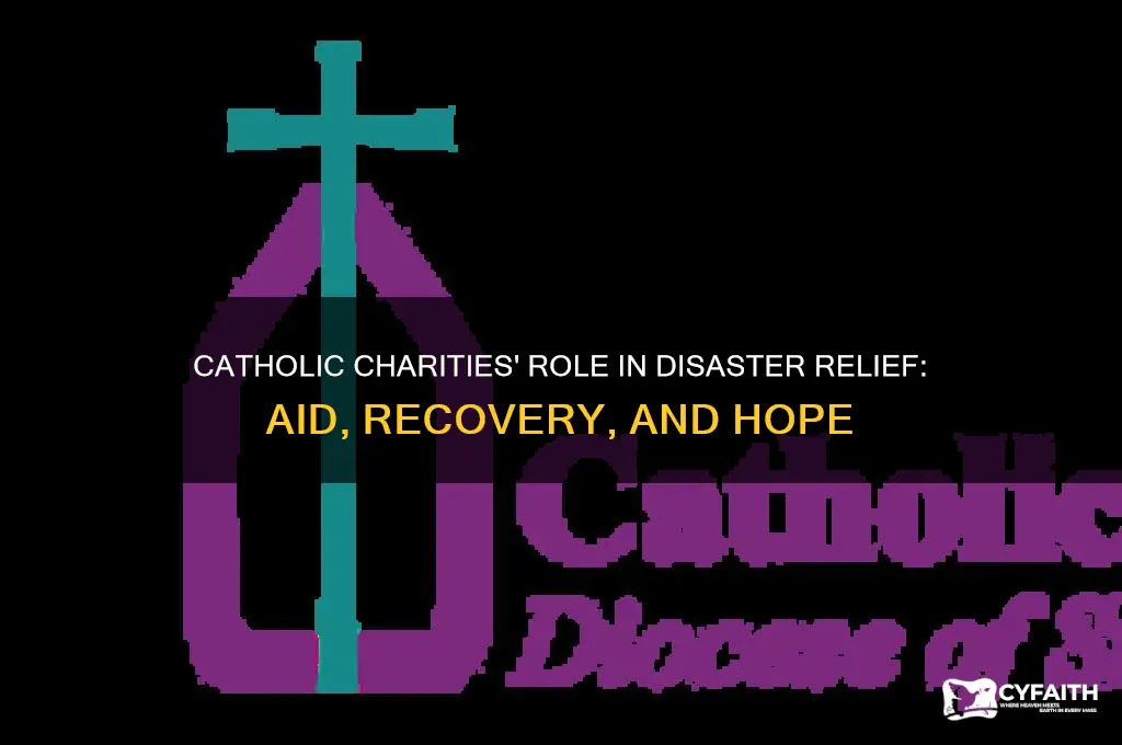 what does catholic charities do with disaster relief