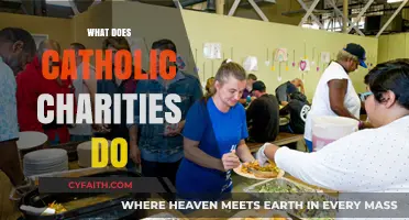 Understanding Catholic Charities: Services, Impact, and Community Support Explained