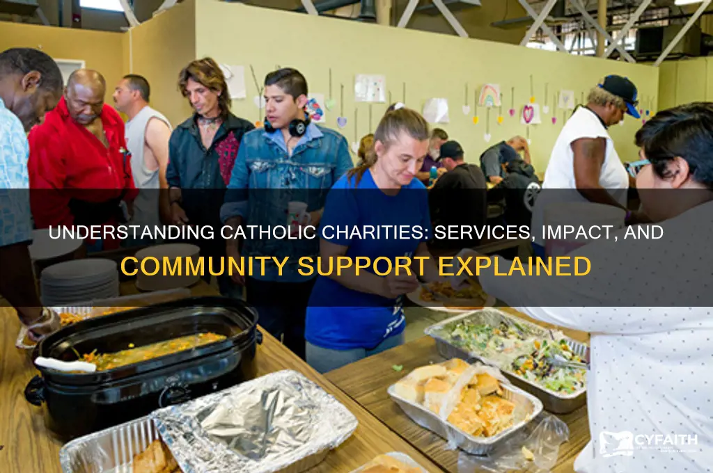 what does catholic charities do