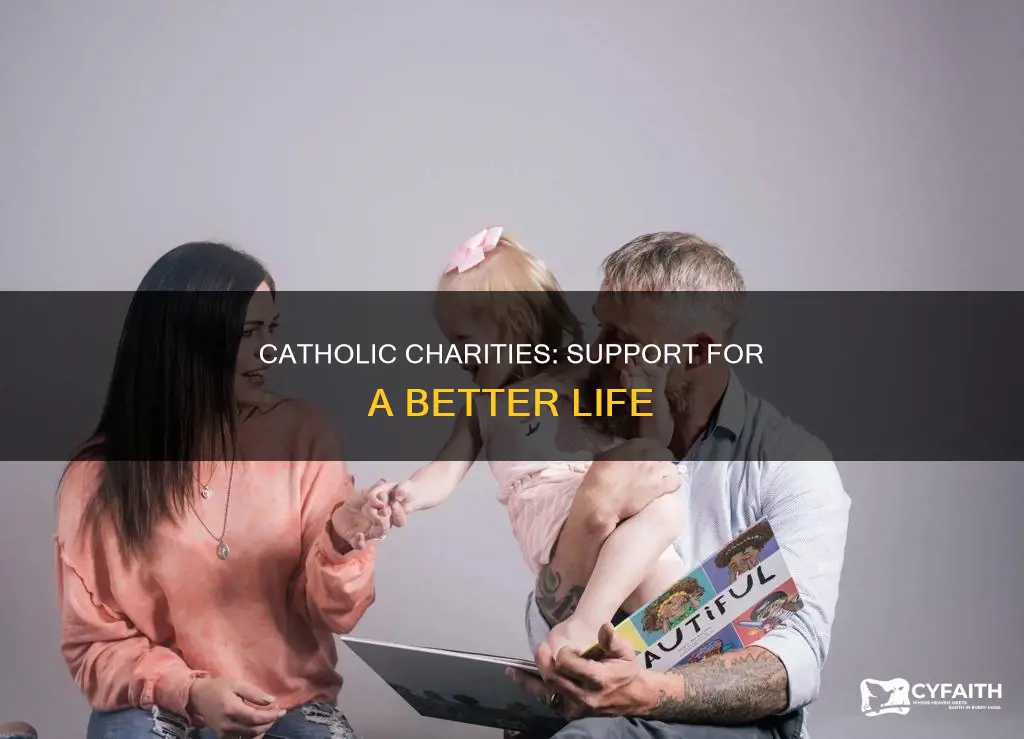 what does catholic charities help with