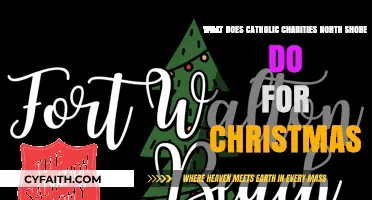 Catholic Charities North Shore's Christmas Initiatives: Spreading Joy and Hope
