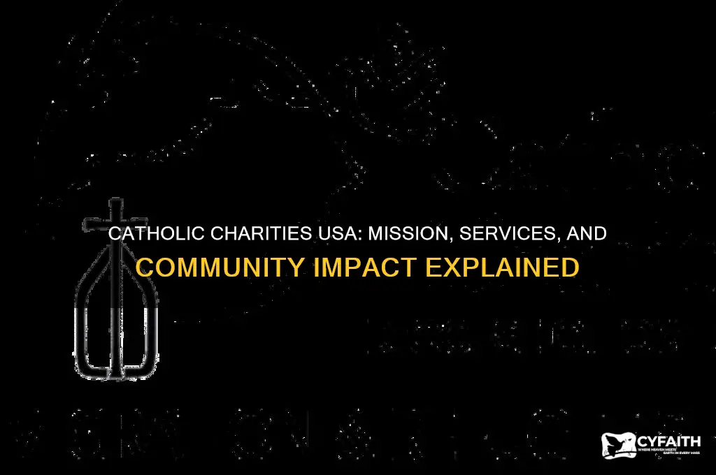 what does catholic charities usa do