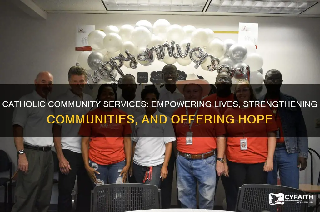 what does catholic community services do