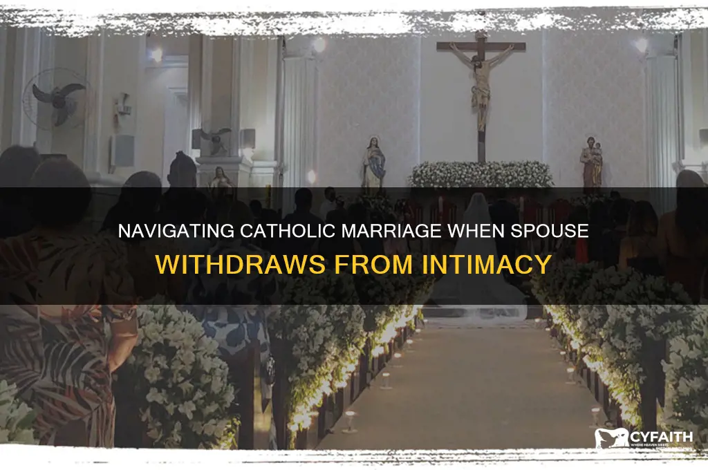 what does catholic do if spouse no longer wants sex