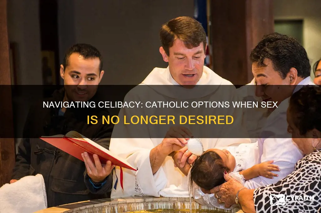 what does catholic do if suppose no longer wants sex