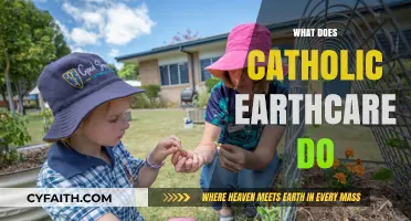 Catholic Earthcare: Mission, Programs, and Impact on Environmental Stewardship