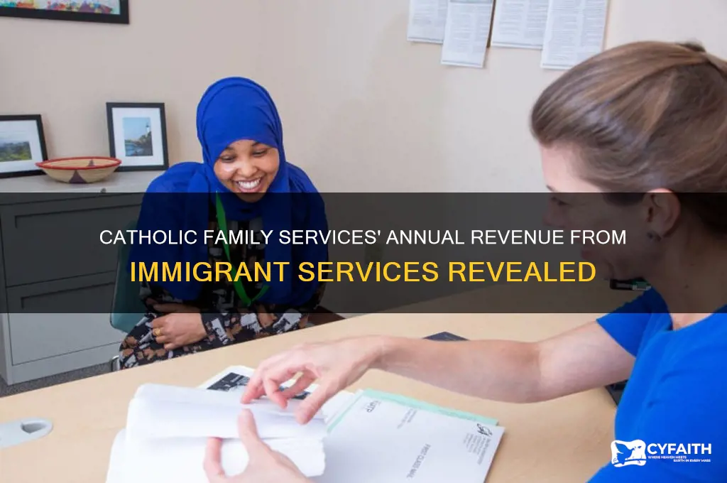 what does catholic family services make per year on immigrants