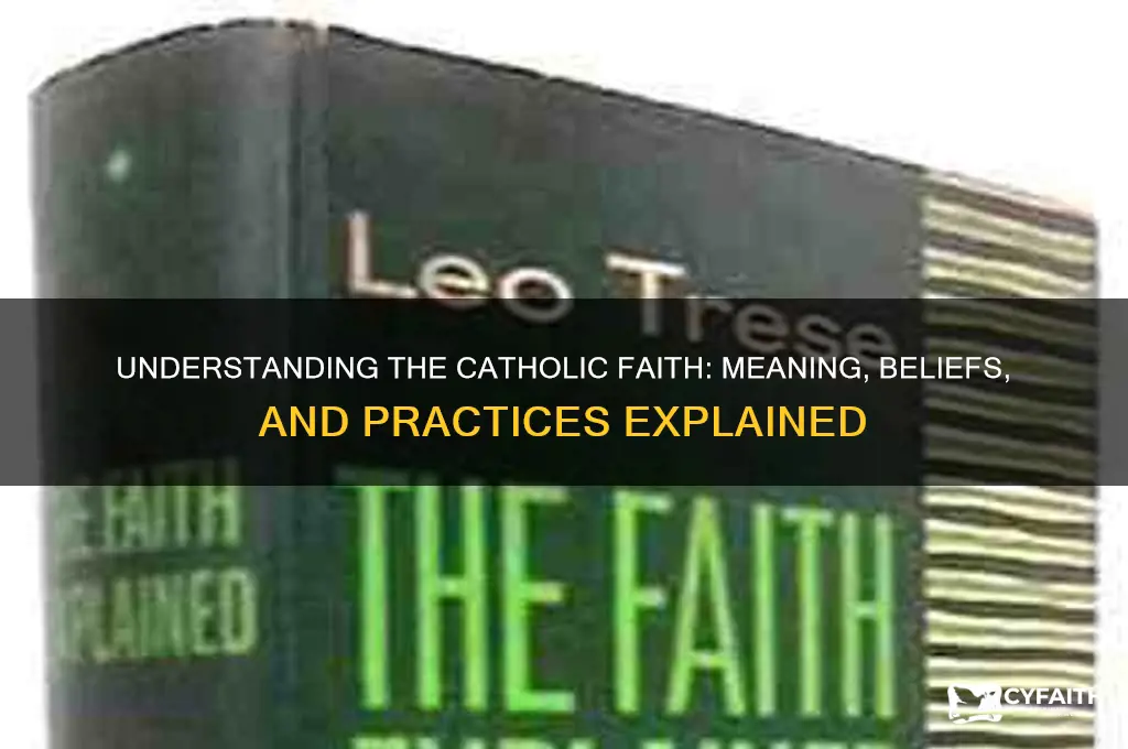 what does catholic mena