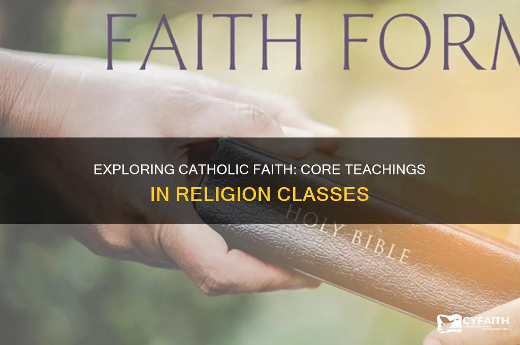 what does catholic religion classes teach