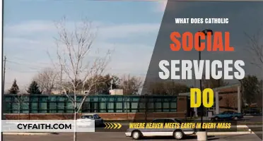 Understanding Catholic Social Services: Mission, Programs, and Community Impact