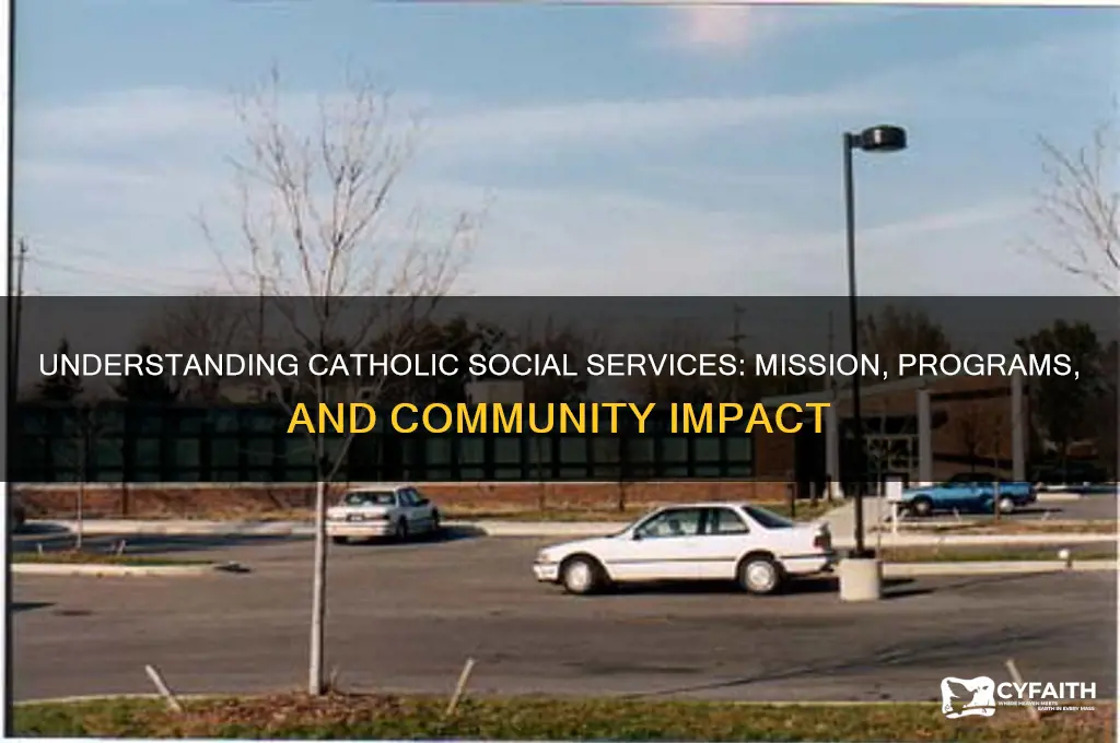 what does catholic social services do