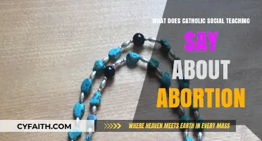 Catholic Social Teaching on Abortion: Life, Dignity, and Moral Principles