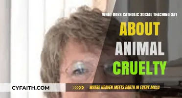Catholic Social Teaching and the Moral Imperative Against Animal Cruelty