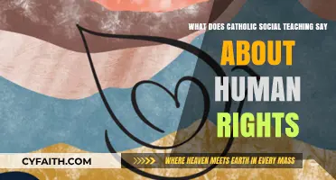 Catholic Social Teaching: Upholding Human Dignity and Universal Rights