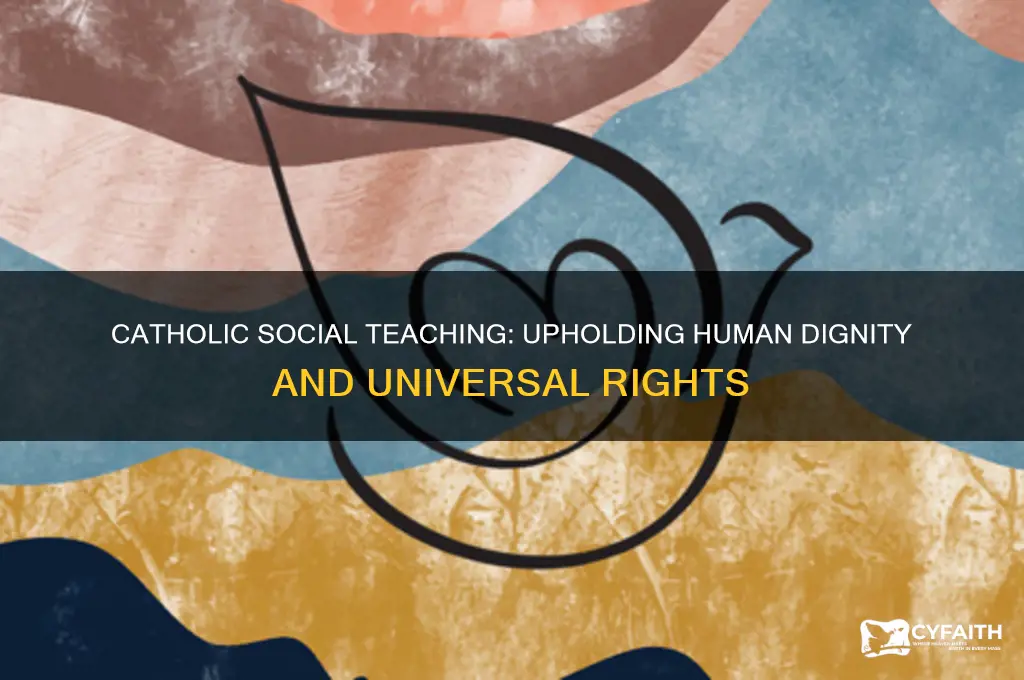 what does catholic social teaching say about human rights