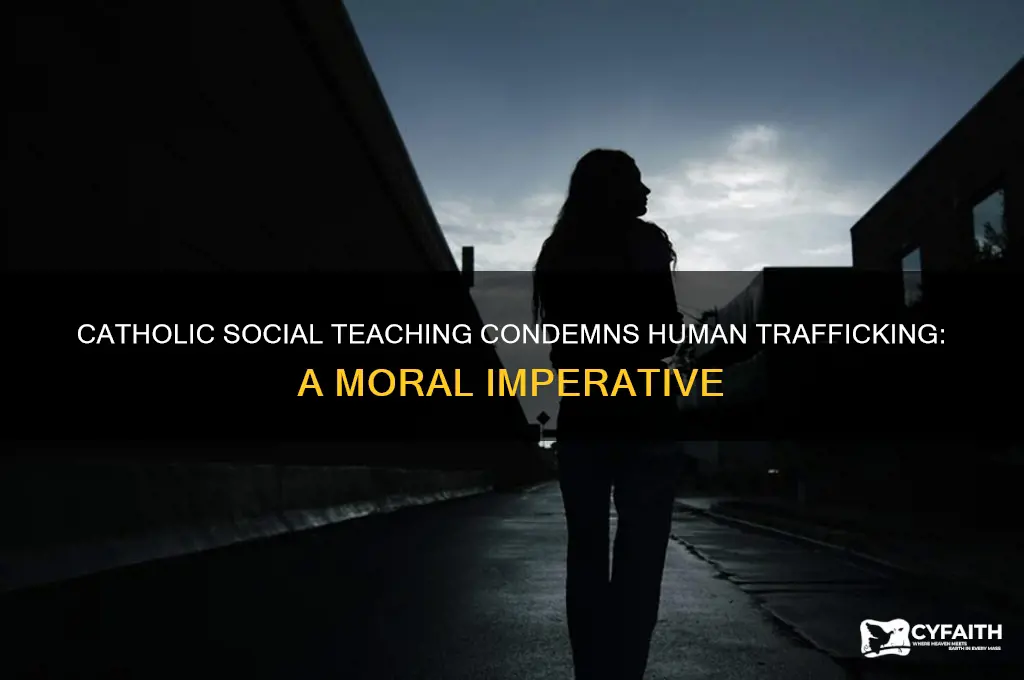 what does catholic social teaching say about human trafficking