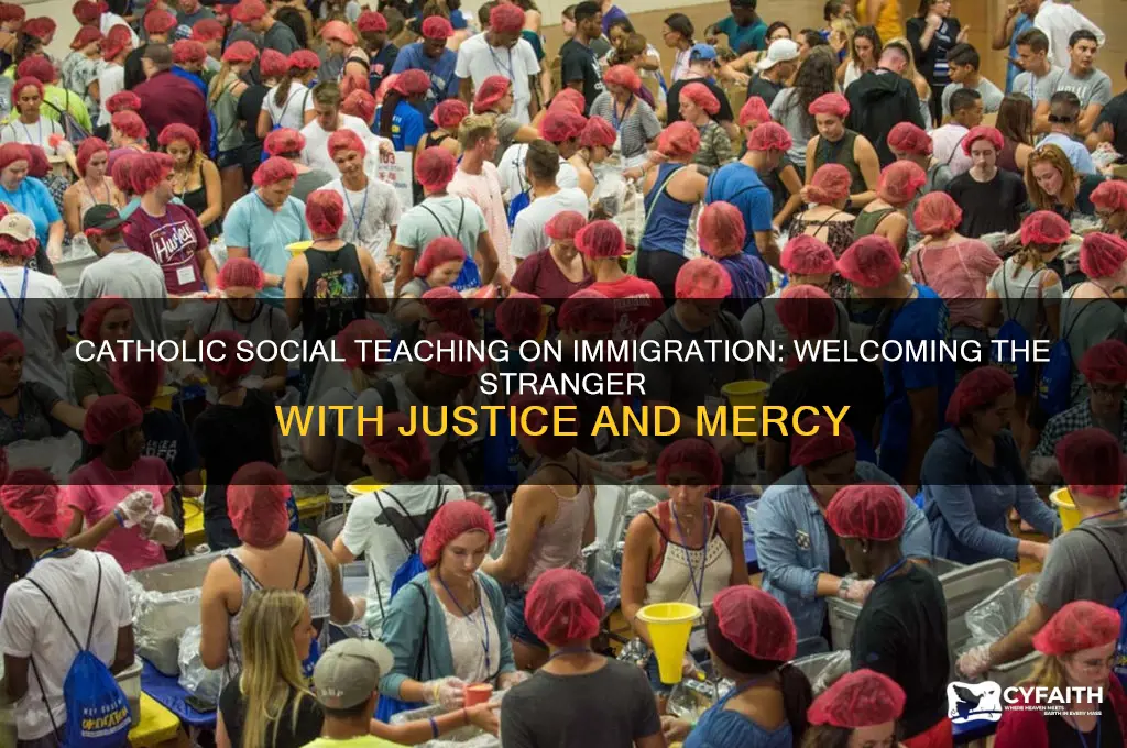 what does catholic social teaching say about immigration