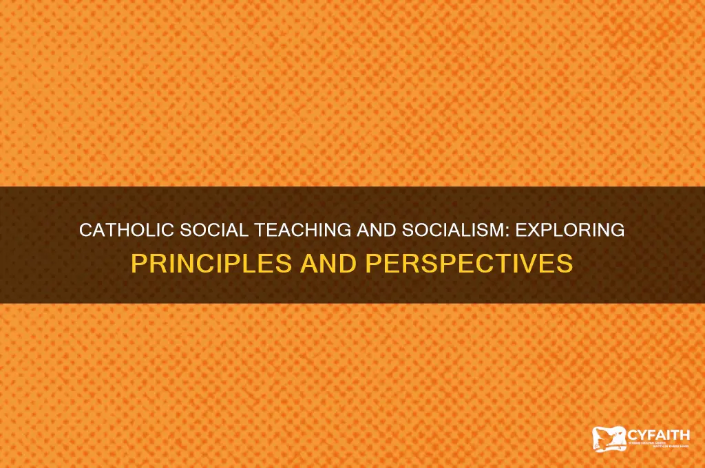 what does catholic social teaching say about socialism