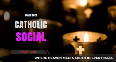 Understanding Catholic Social Teaching: Principles, Practices, and Impact Today