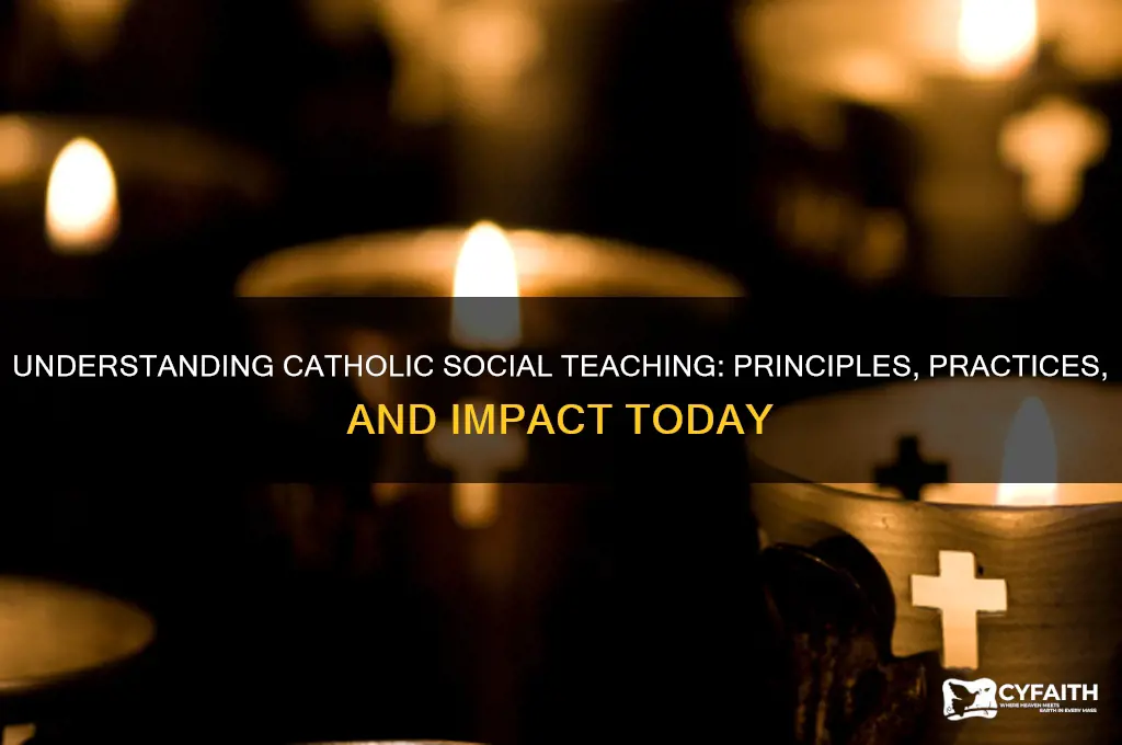 what does catholic social