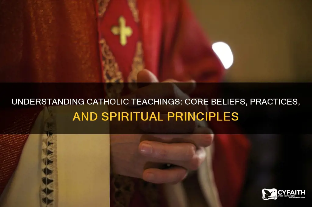 what does catholic teach