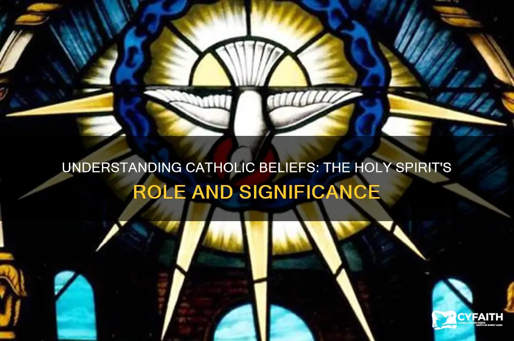 what does catholic think of the holy spirit