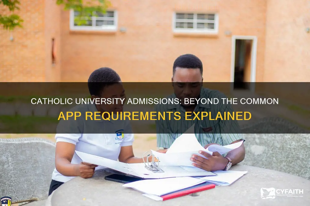 what does catholic universisty require other than common app