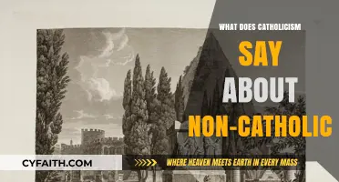 Catholicism's Perspective on Non-Catholics: Understanding the Faith's View