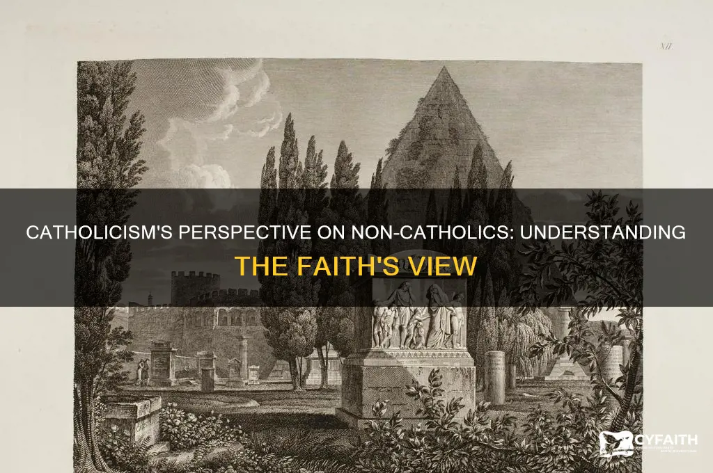 what does catholicism say about non-catholics