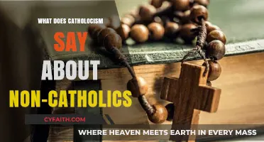 Catholic Teachings on Non-Catholics: Understanding the Faith's Perspective