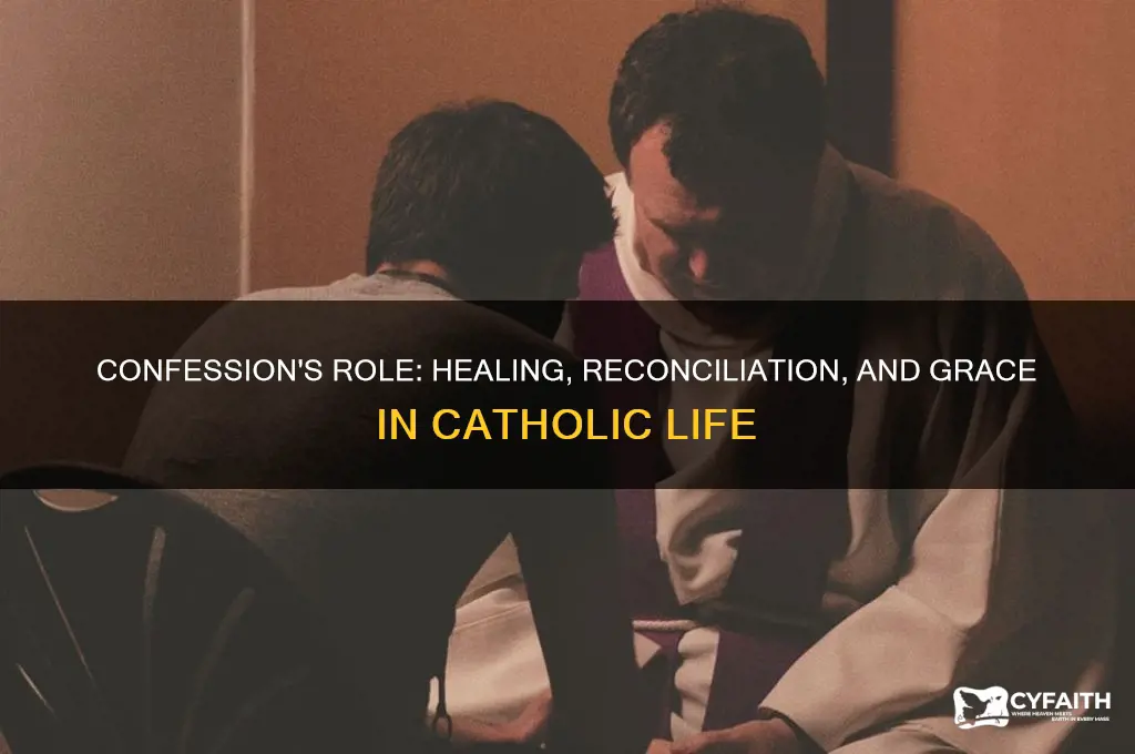 what does confession do for catholics