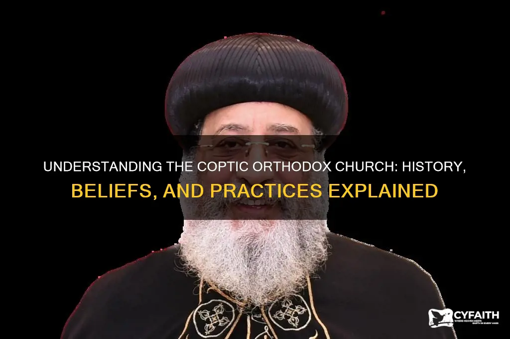 what does coptic orthodox church mean