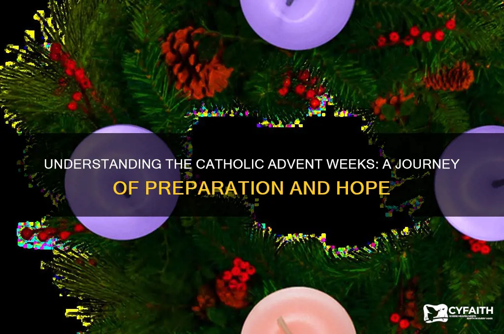 what does each week of advent represent catholic