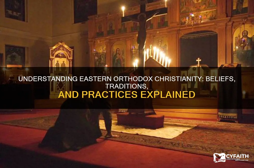what does eastern orthodox christianity mean