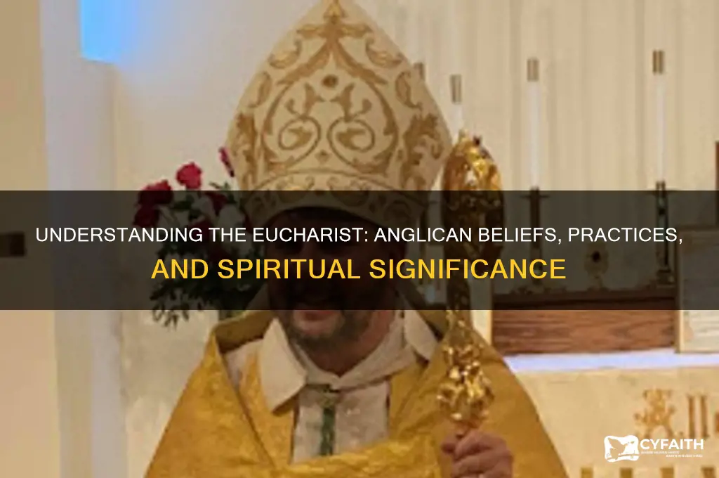 what does eucharist do anglican
