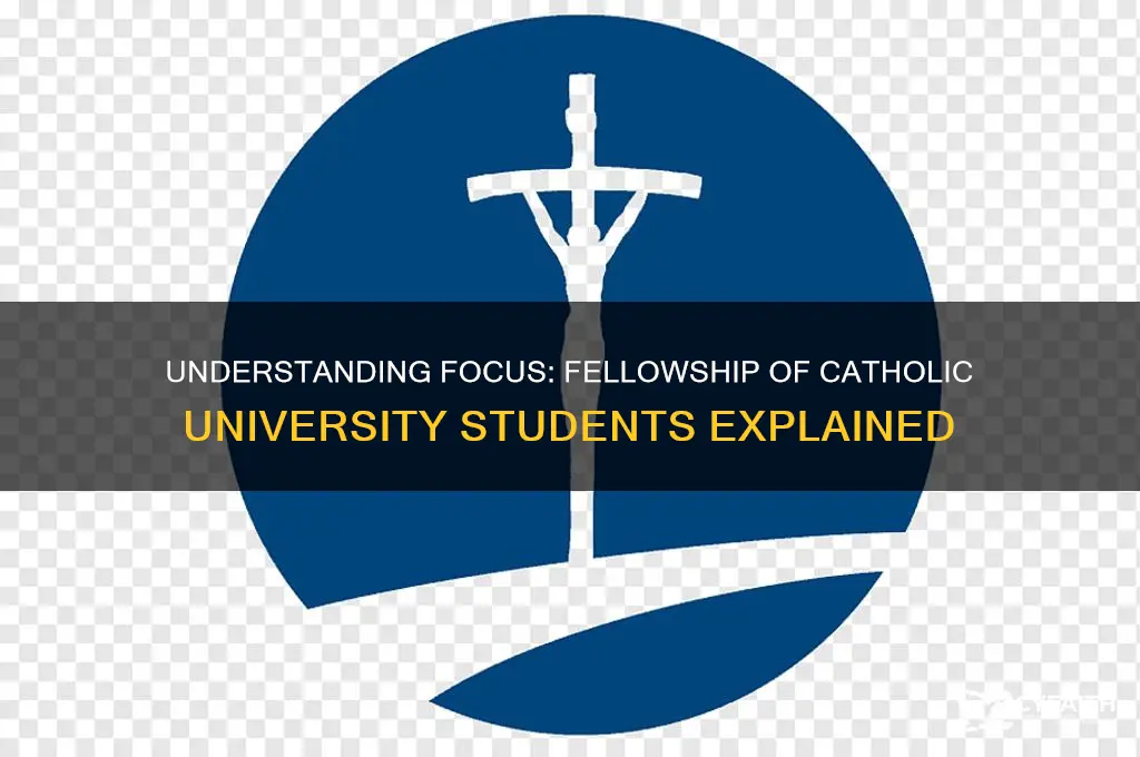 what does focus stand for catholic